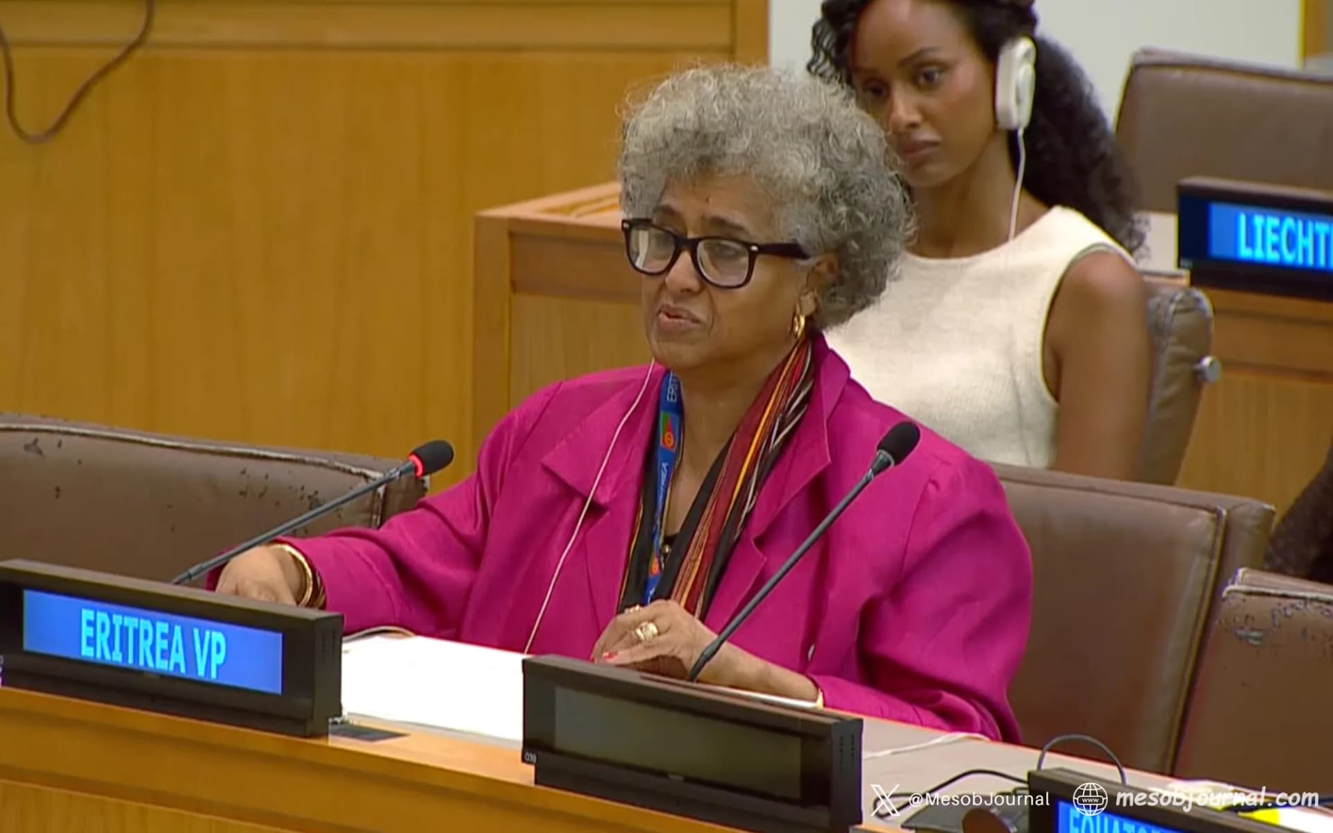 Ambassador Sophia Tesfamariam addresses UNICEF’s Executive Board, New York, 2 September 2026.