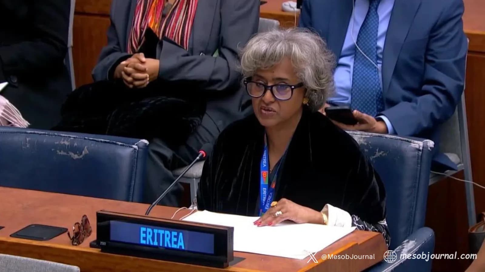 Eritrea Secures Seat on UN Economic and Social Council