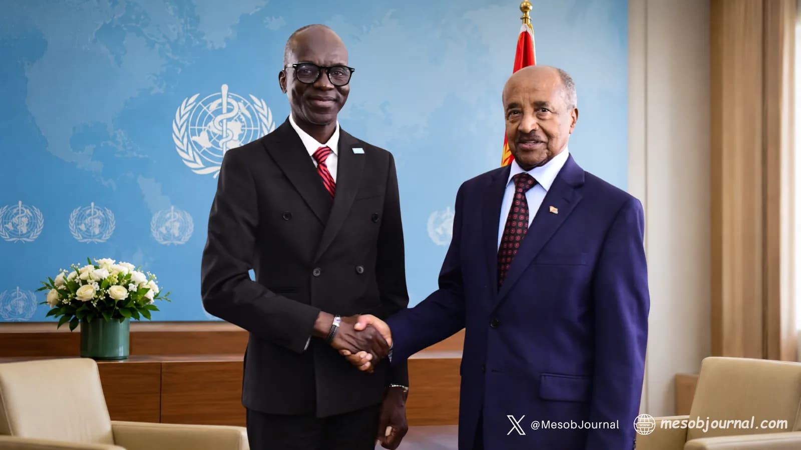 WHO and Eritrea health partnership.