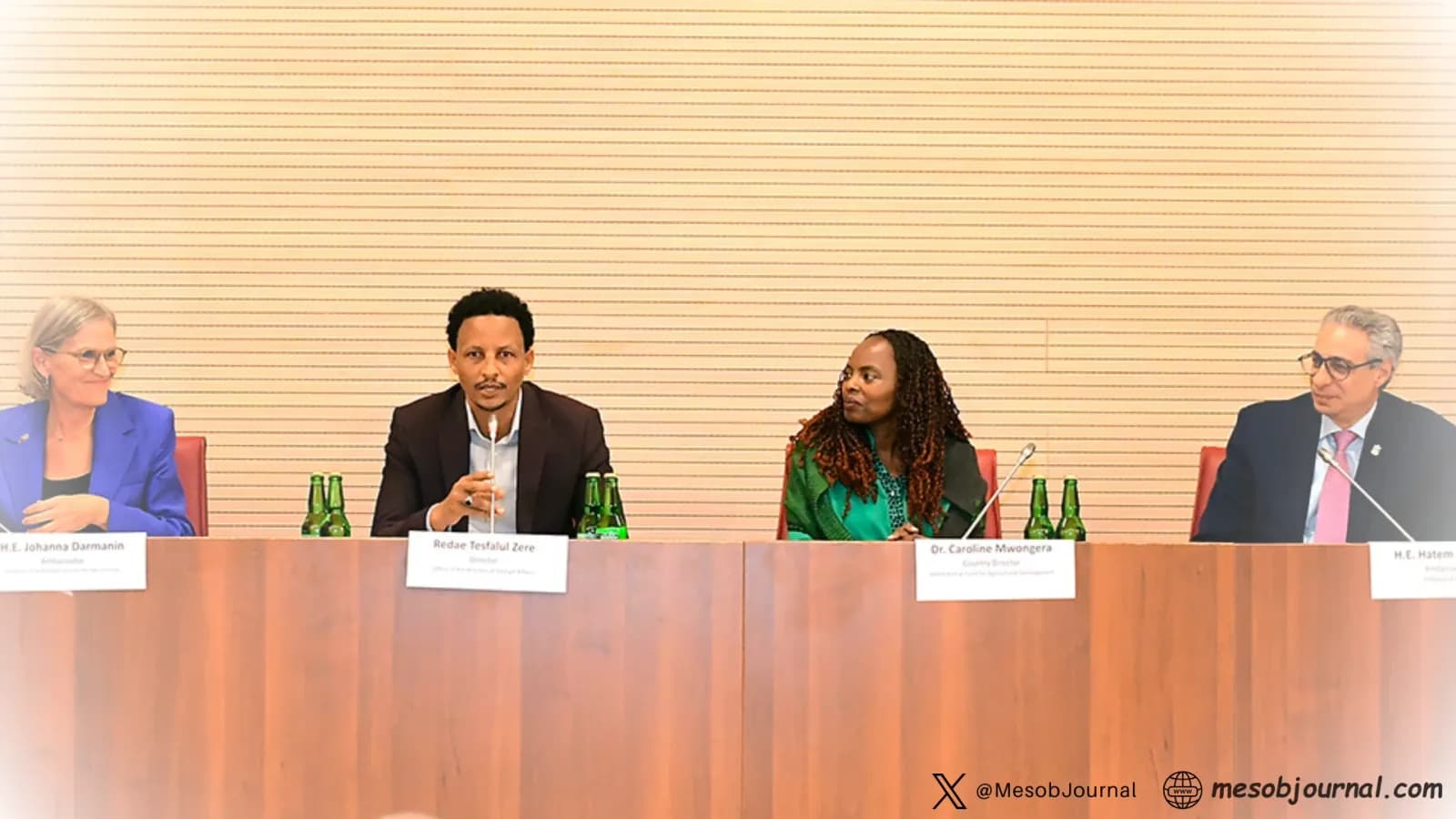 Eritrea and the UN: A New Language of Partnership